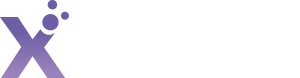 Lssd-X AI -专业的AI算力集群